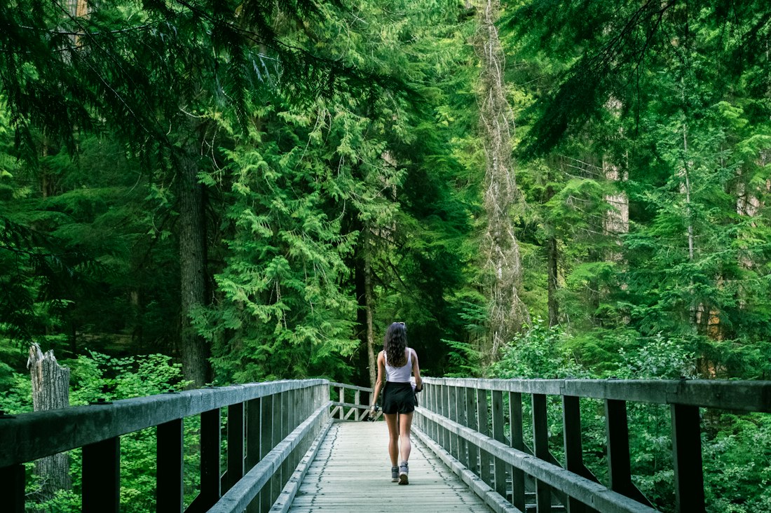 A person walking along a wooden bridge through a forest